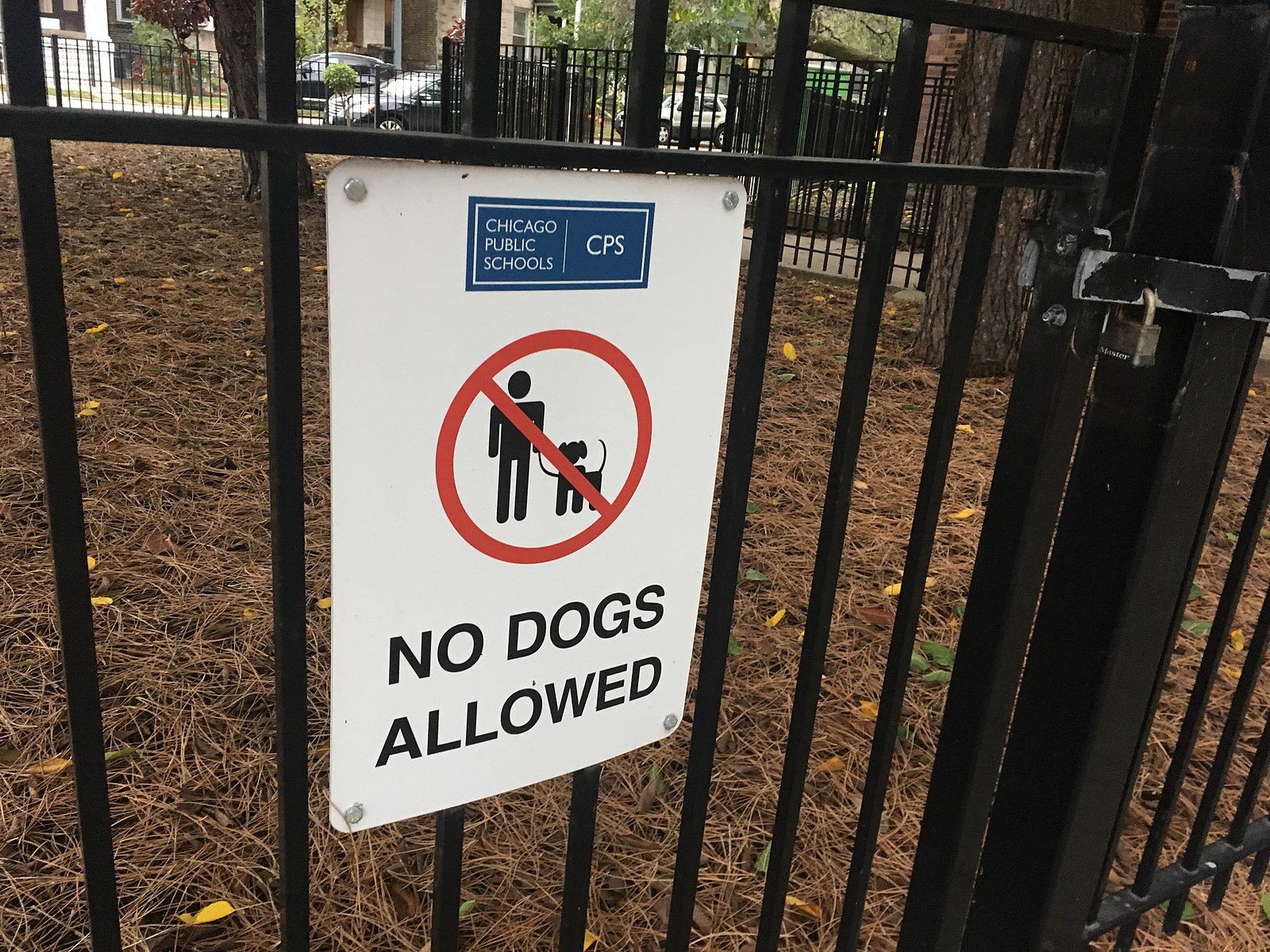 Don't just fine dog waste. Incentivize cleanliness.